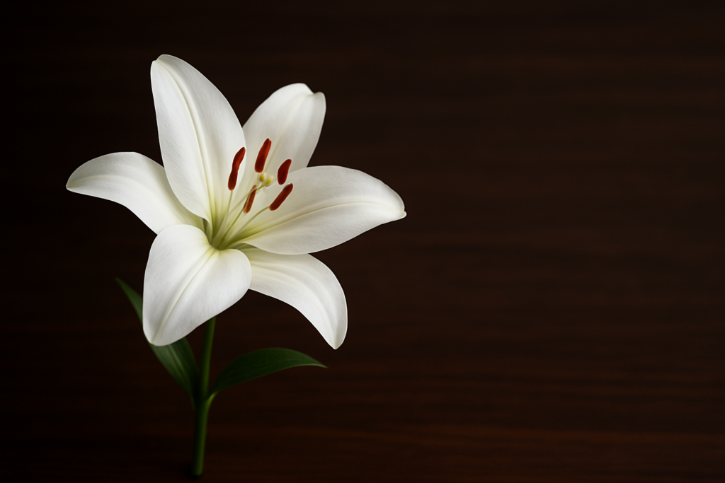 業種別 LLMO - white lily